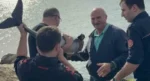 Kayalıklara sıkışan yunusu polis memuru kurtardı
