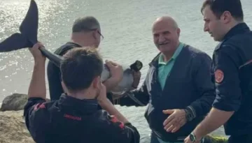 Kayalıklara sıkışan yunusu polis memuru kurtardı