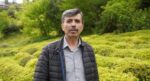 Yaş Çay Sezonuna Sayılı Günler Kala Üreticiler Hazırlıklarını Sürdürüyor