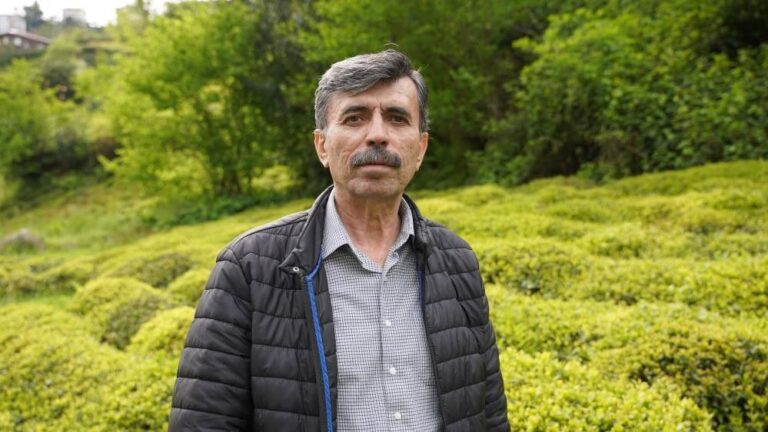 Yaş Çay Sezonuna Sayılı Günler Kala Üreticiler Hazırlıklarını Sürdürüyor