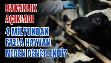 Bakanlık açıkladı! 4 milyondan fazla hayvan neden denetlendi?