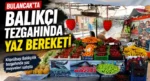 Bulancak’ta Balıkçı Tezgahında Yaz Bereketi