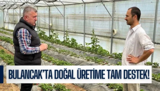 Bulancak’ta Doğal Üretime Tam Destek!