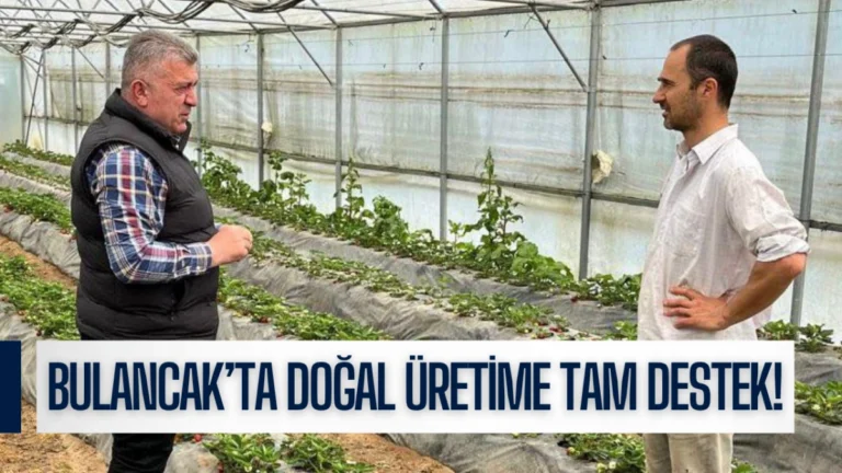 Bulancak’ta Doğal Üretime Tam Destek!