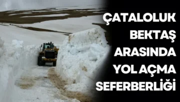 Çataloluk-Bektaş Arasında Yol Açma Seferberliği