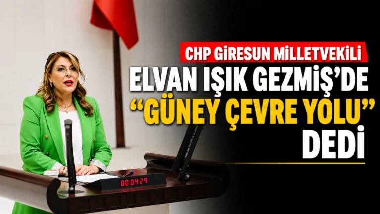 CHP Giresun Milletvekili Elvan Işık Gezmiş de “Güney Çevre Yolu” dedi