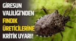 Giresun Valiliği’nden Fındık Üreticilerine Kritik Uyarı!