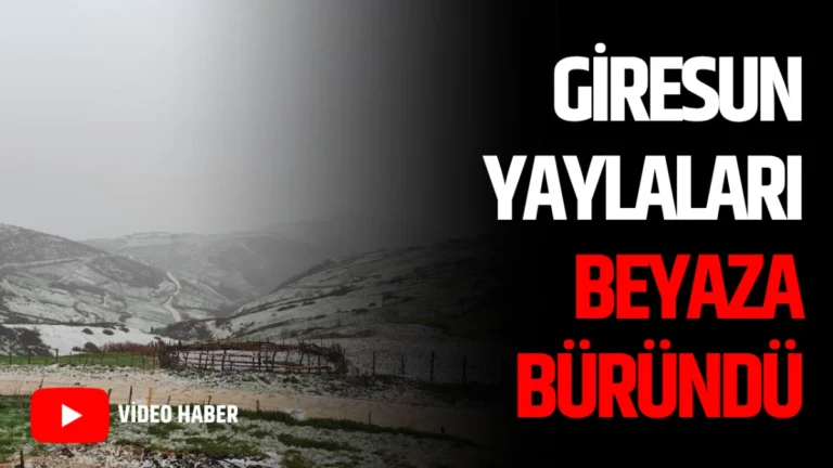 Giresun Yaylaları Beyaza Büründü