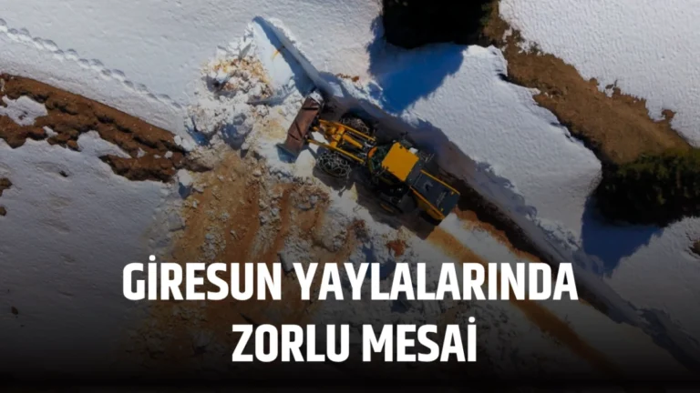 Giresun Yaylalarında Zorlu Mesai