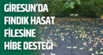 Giresun’da Fındık Hasat Filesine Hibe Desteği