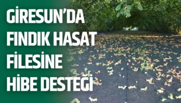 Giresun’da Fındık Hasat Filesine Hibe Desteği
