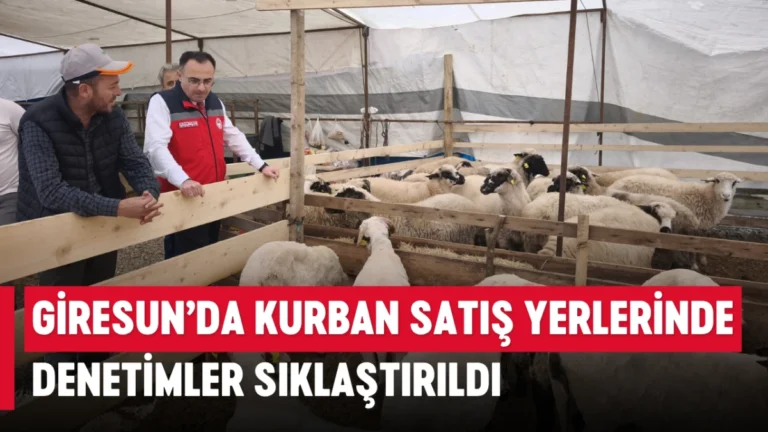 Giresun’da Kurban Satış Yerlerinde Denetimler Sıklaştırıldı