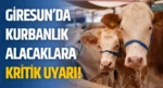 Giresun’da kurbanlık alacaklara kritik uyarı!