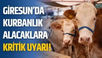 Giresun’da kurbanlık alacaklara kritik uyarı!