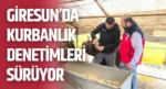 Giresun’da kurbanlık denetimleri sürüyor