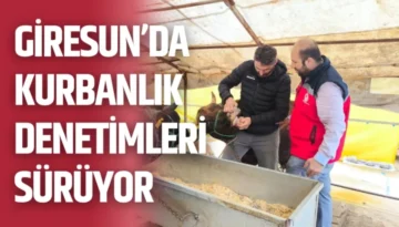 Giresun’da kurbanlık denetimleri sürüyor