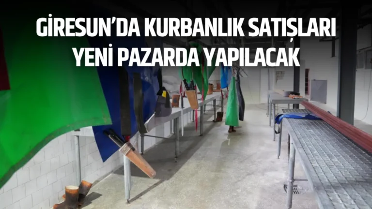 Giresun’da Kurbanlık Satışları Yeni Pazarda Yapılacak