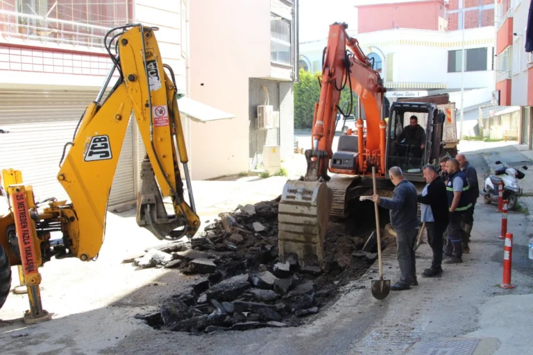 Giresun’da saha ekipleri tüm mahallelerde