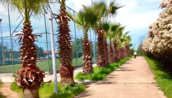 Giresun’da Sosyal Yaşam Alanlarına Yaz Bakımı