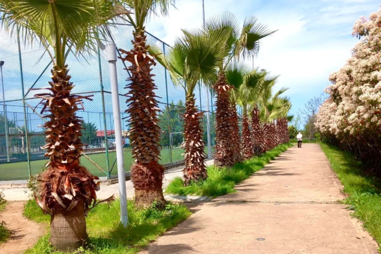 Giresun’da Sosyal Yaşam Alanlarına Yaz Bakımı