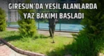 Giresun’da Yeşil Alanlarda Yaz Bakımı Başladı