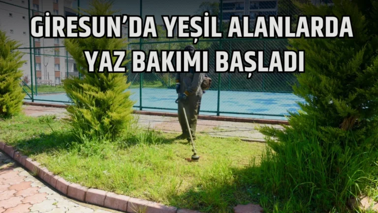 Giresun’da Yeşil Alanlarda Yaz Bakımı Başladı