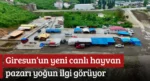 Giresun’un yeni canlı hayvan pazarı yoğun ilgi görüyor