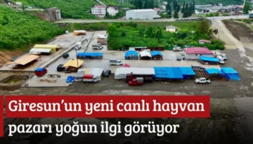 Giresun’un yeni canlı hayvan pazarı yoğun ilgi görüyor
