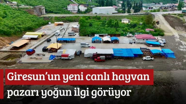 Giresun’un yeni canlı hayvan pazarı yoğun ilgi görüyor