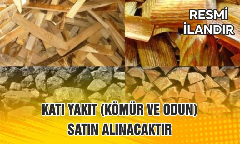 KATI YAKIT (KÖMÜR VE ODUN) SATIN ALINACAKTIR