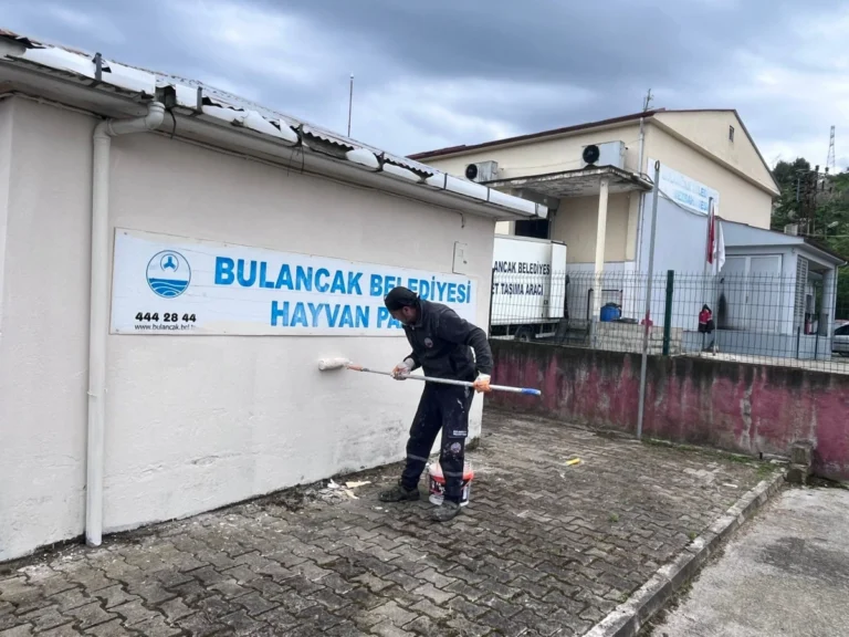 Kurban Bayramı Öncesi çalışmalar tam gaz