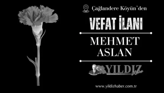 Mehmet Aslan vefat etti