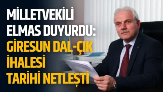 Milletvekili Elmas Duyurdu: Giresun Dal-Çık İhalesi Tarihi Netleşti