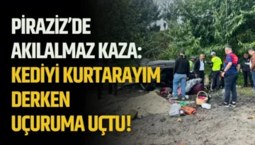 Piraziz’de akılalmaz kaza: Kediyi kurtarayım derken uçuruma uçtu!