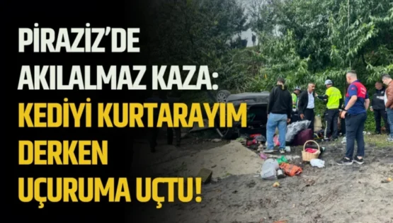 Piraziz’de akılalmaz kaza: Kediyi kurtarayım derken uçuruma uçtu!