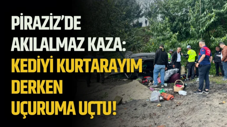 Piraziz’de akılalmaz kaza: Kediyi kurtarayım derken uçuruma uçtu!