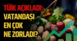 TÜİK Açıkladı: Vatandaşı En Çok Ne Zorladı?