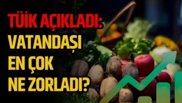 TÜİK Açıkladı: Vatandaşı En Çok Ne Zorladı?