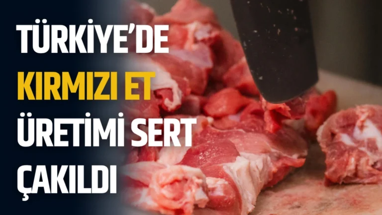 Türkiye’de Kırmızı Et Üretimi Sert Çakıldı