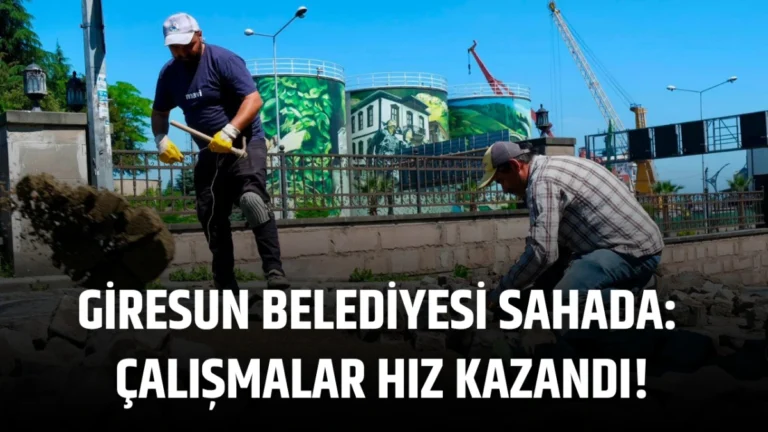Giresun Belediyesi sahada: Çalışmalar hız kazandı!