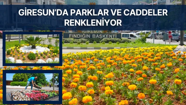 Giresun’da Parklar ve Caddeler Renkleniyor