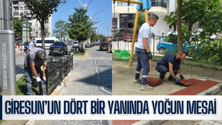 Giresun’un dört bir yanında yoğun mesai